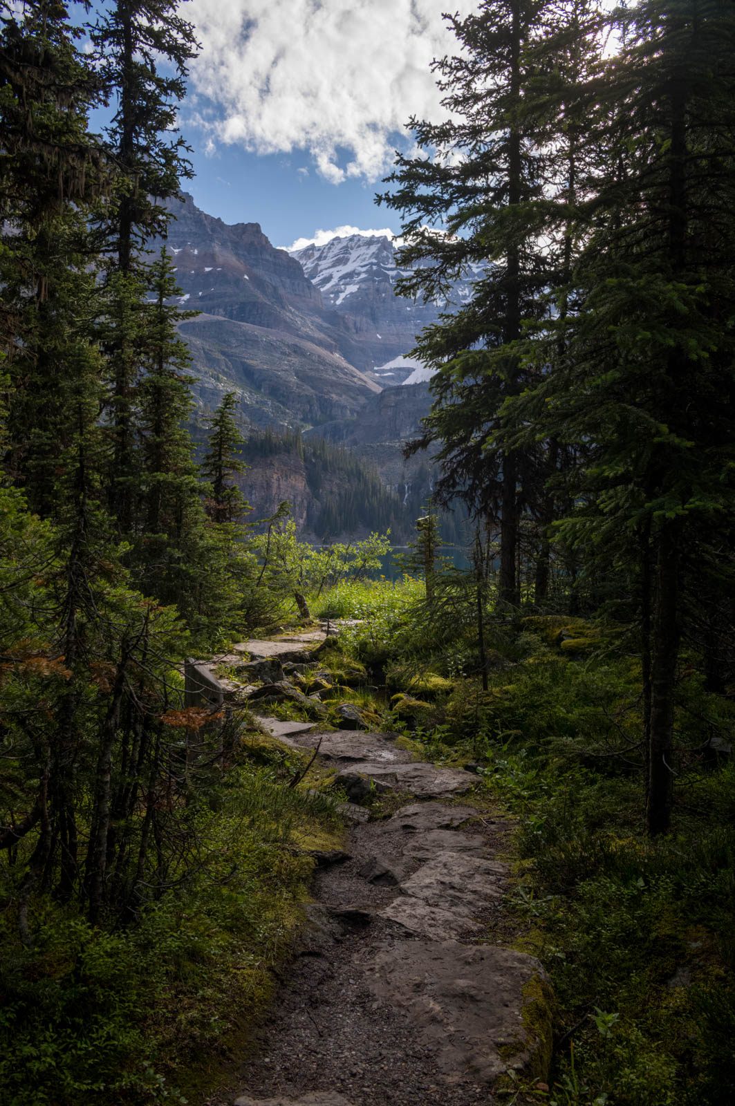 Lake O'Hara
